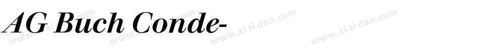 AG Buch Conde字体转换